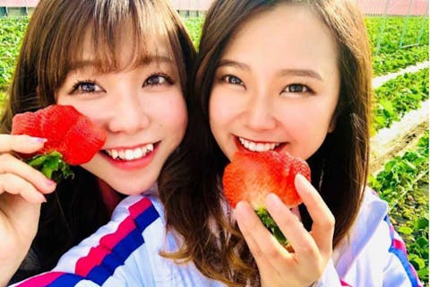 【福岡・久留米・いちご狩り】あまおう専門農家！＜40分食べ放題/朝活・朝ごはんにピッタリ＞広川 ICより車で15分