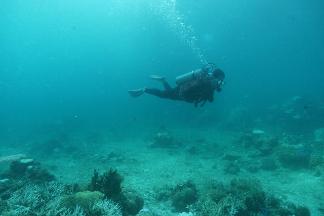 【沖縄・石垣島・体験ダイビング】深く長く潜れる！絶景が広がる海で、本格的な体験ダイビング！プレミアムプラン（1日・2ダイブ）