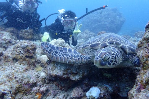 【沖縄・石垣島・体験ダイビング】冬季限定★短時間で絶景を楽しむ！本格的な体験ダイビング（半日・1ダイブ）