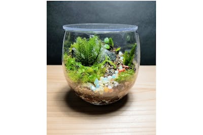 大阪・淀川区・コケテラリウム作り】＼直径8cmガラス容器プラン