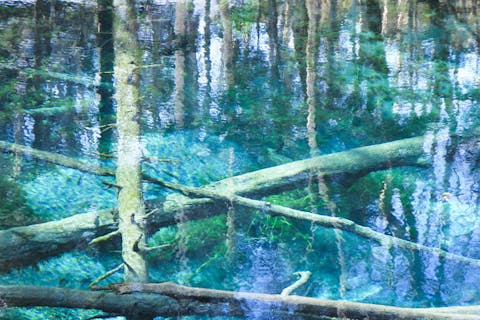 【北海道・知床・スノーシュー】大人気スポット・神秘の青色を湛えた神の子池へ！冬だけの絶景をひとり占め