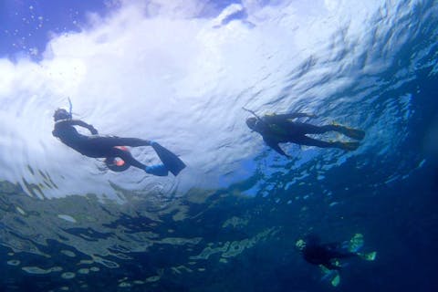 【沖縄・宮古島】マンツーマンで安心・安全・楽しい！ボート体験ダイビング1回＋シュノーケリングツアー