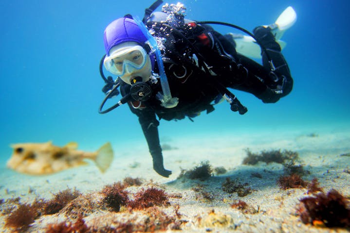 伊豆高原ダイビングスクール 渋谷店