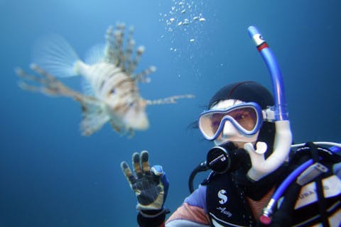 ダイビングライセンス取得【静岡・伊豆／2日間～】初心者オープンウォーターコース！体験ダイビング経験者向け！（初めてでも受講可能です。）学割あり／ランチ付き可／グループ参加可／初心者要相談／宿泊案内あり