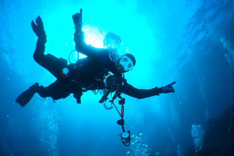 ダイビングインストラクター講習・認定コース【静岡/伊豆高原・東京/渋谷】18歳以上、高卒OK、ダイビングを仕事にできます。（就職に有利な資格：リーダーシップ、提案力、危機管理能力が育つ、業界就職斡旋）