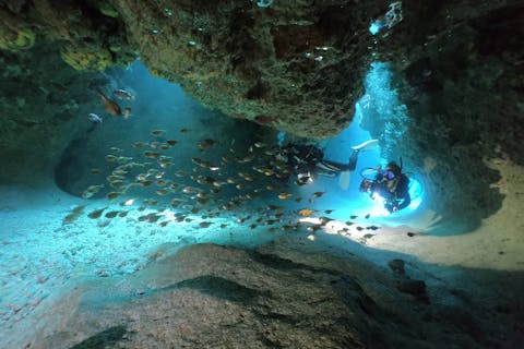 【沖縄・宮古島・ファンダイビング】器材をお持ちのアクティブダイバープラン！ボートファンダイビング3本（エンリッチドエア・ナイトロックス無料）