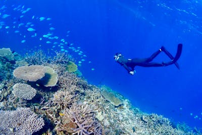 沖縄・宮古島・ヤビジスキンダイビング】宮古島出身のオーナーが