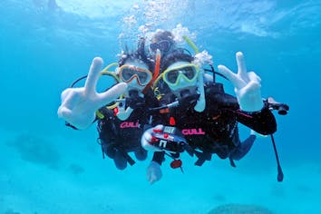 沖縄・宮古島・ヤビジ体験ダイビング+シュノーケルツアー】大満足