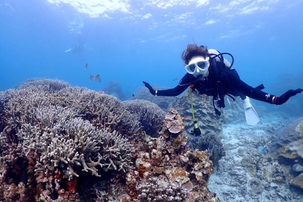 沖縄・宮古島・ダイビング】＜高性能レンズ付きカメラ撮影＞初めてでも