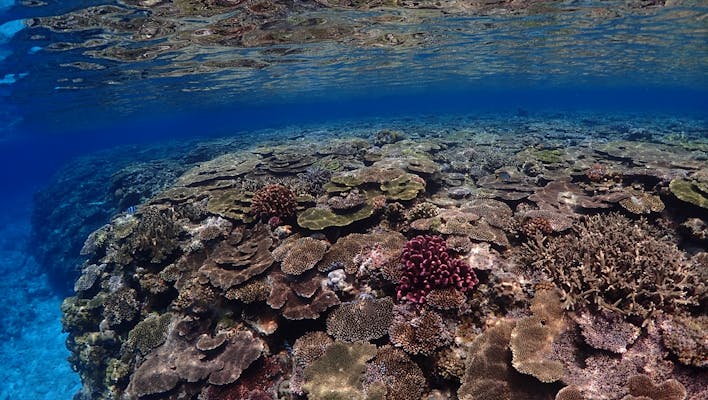 ザマミセーリング｜ネット予約ならアソビュー！