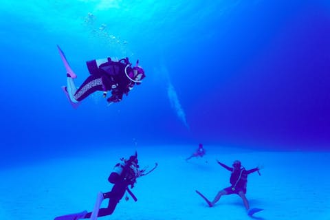 【沖縄・座間味島・ファンダイビング】ライセンス保持者限定・大型カタマランヨットで行くダイビング！ウミガメがいる美しい海をのんびり堪能！2ダイブ（ウェイト・タンク付）