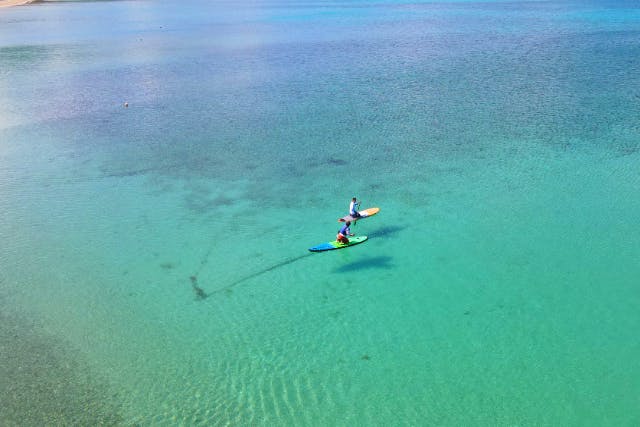 【奄美大島・SUP】初心者の方でも大歓迎！当日予約可能・ドローン空撮・GoPro動画・水中カメラで撮影する写真の無料プレゼントあり（60分）