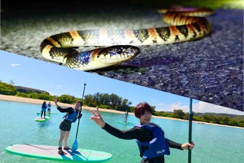 ＜お得プラン＞奄美大島【SUP＋ナイトツアー】セットプラン！初心者の方でも大歓迎！お得なセットプラン！当日予約可能！口コミ投稿で撮影データ無料プレゼントあり（120分）※お一人様も可能