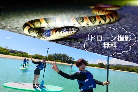 ＜お得プラン＞奄美大島【SUP＋ナイトツアー】セットプラン！初心者の方でも大歓迎！お得なセットプラン！当日予約可能！口コミ投稿で撮影データ無料プレゼントあり（120分）※お一人様も可能