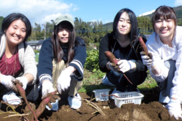 【静岡・農業体験】豊かな自然の中で季節野菜の収穫体験！小さなお子さまも参加OK！（熱海駅から車で約20分）