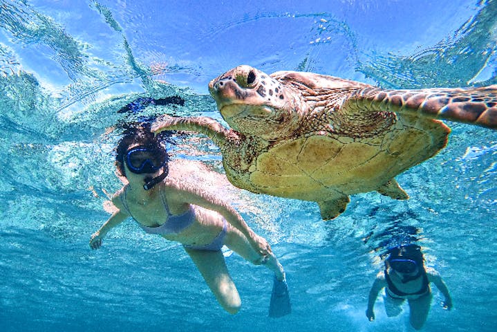オースリーシュノーケル宮古島