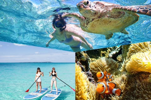 【沖縄・宮古島・SUP＆シュノーケリング】SUP＆ウミガメシュノーケリング！人気上昇中のアクティビティを1日で游び尽くそう。＜写真無料＞