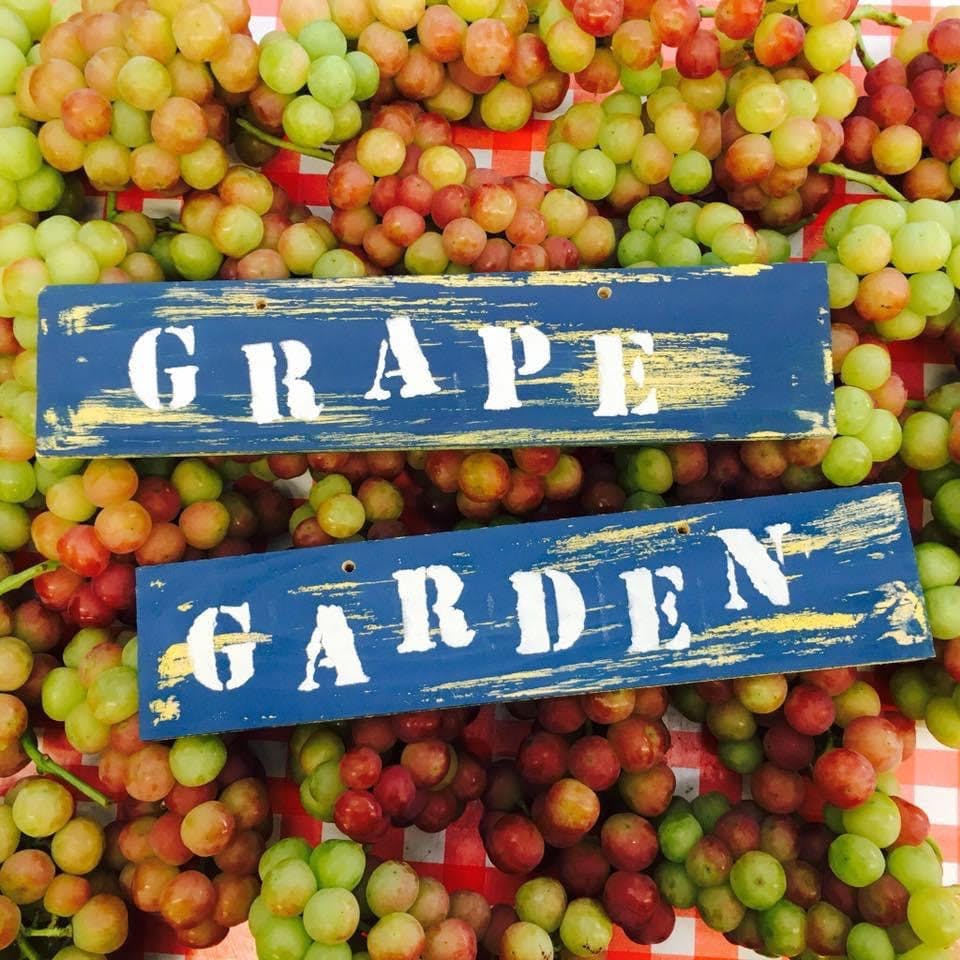 grape garden