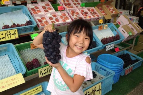 【山梨・甲州・ぶどう食べ放題】絶景を楽しみながらぶどうを食べよう！＜巨峰＞40分間食べ放題　 ※最初の1房目だけ収穫体験ありのプランです