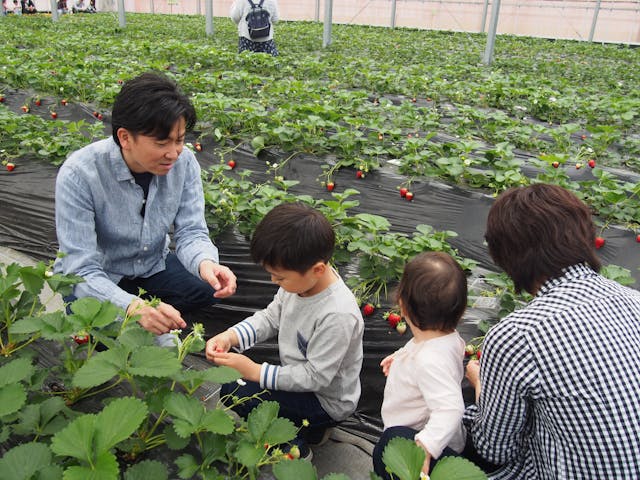 小松沢レジャー農園