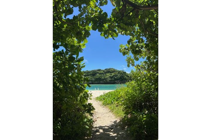 川平湾グラスボート　ブルーコーラル