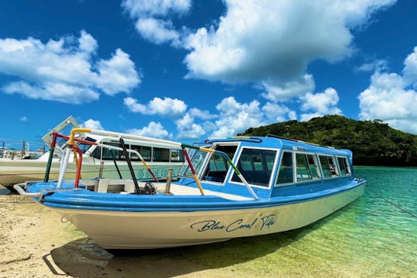 【セール】 沖縄・石垣島】期間限定割引！冷房搭載グラスボート稼働中 立体・オブジェ
