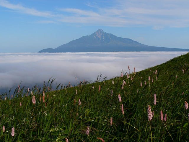 礼文はなガイドクラブ