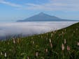 北海道の自然を堪能しよう！