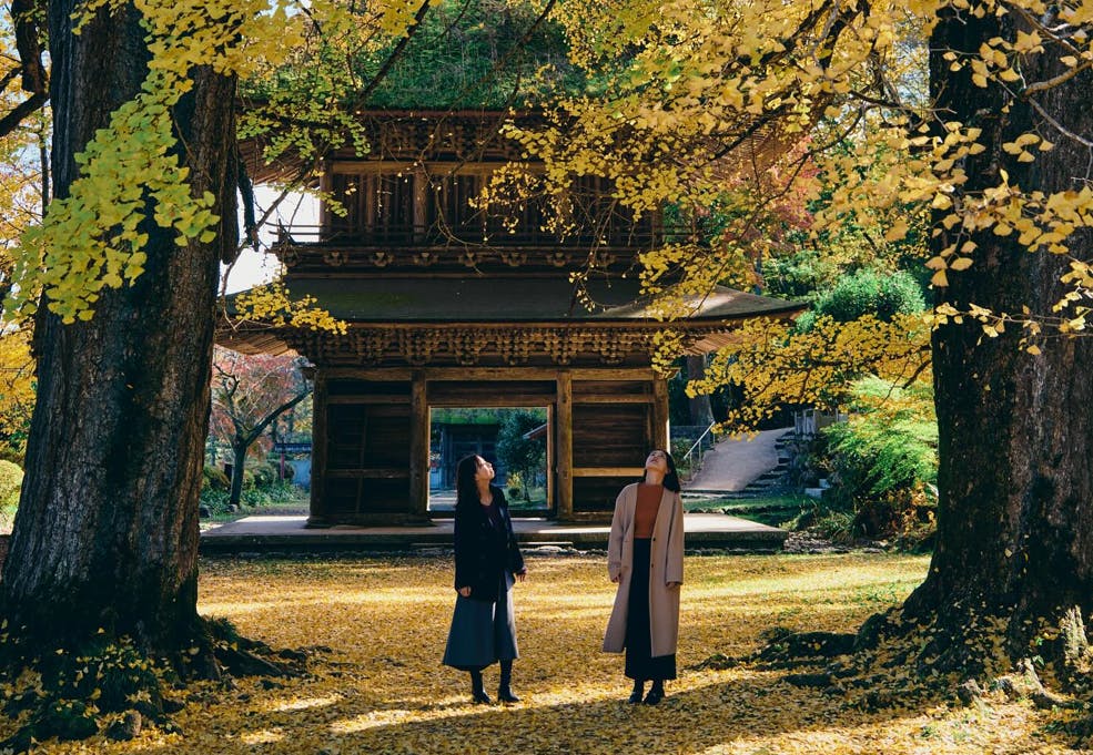 東京裏山ベース