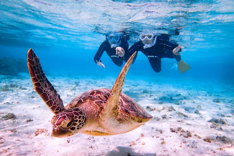 【宮古島｜シュノーケル】★春休み・GW先取り★当日予約OK！写真無料！口コミ高評価《ファミリー・学生・カップルに大人気》