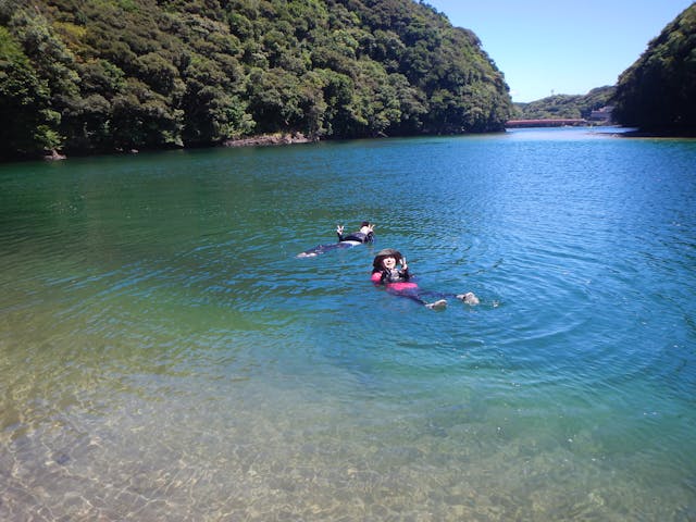 屋久島らんぶりん