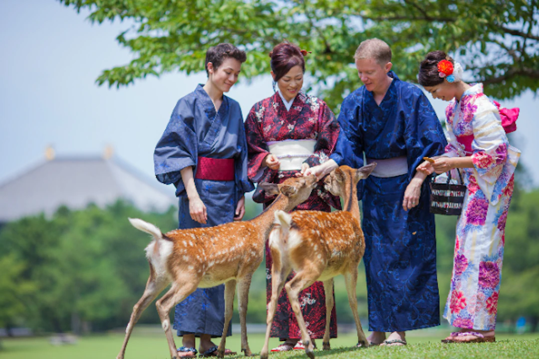 【奈良・着物レンタル】着物で奈良観光できる、着物レンタル&着付けプラン!近鉄奈良駅からスグ!
