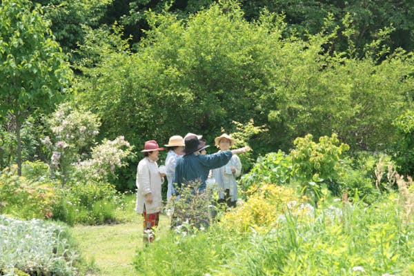 山形・平清水・草木染め染料畑散策】無農薬染料畑散策し、朝摘みの