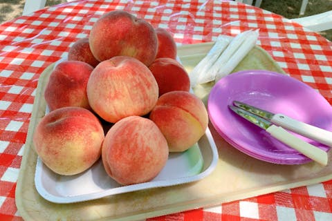 【山梨・甲州・桃食べ放題】見晴らし最高の休憩所で、冷えた桃の食べ放題！＜勝沼ICより車で3分＞　※収穫体験はありません