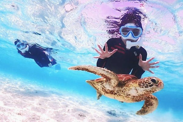 沖縄・宮古島】半日で宮古島の海を満喫！絶景ビーチSUP & 選べる