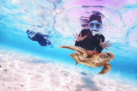 【沖縄・宮古島】その日のベストポイントへご案内！ウミガメ・トロピカルフィッシュ・珊瑚シュノーケリングツアー＜写真データ無料／ウエットスーツ無料＞