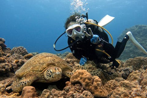 【沖縄・慶良間・体験ダイビング】＜慶良間体験ダイビング2回＞　おひとり様でも大歓迎！完全少人数制／送迎無料／写真プレゼント