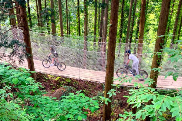 滋賀・栗東・フォレストアドベンチャー】本格的なアドベンチャーコース