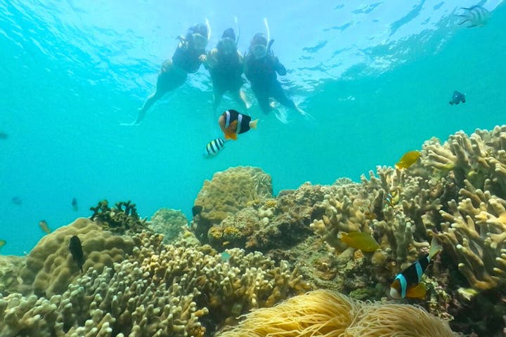 isola blue（イゾラブルー）