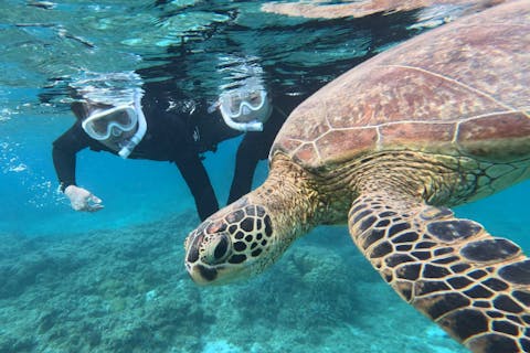 【奄美大島・シュノーケリング】【冬でも安心!!】ウミガメと泳ぐ感動体験☆ウェットスーツ＆温水シャワー完備／写真プレゼント付き《isola blue Fプラン》カップル・ファミリーにおすすめ