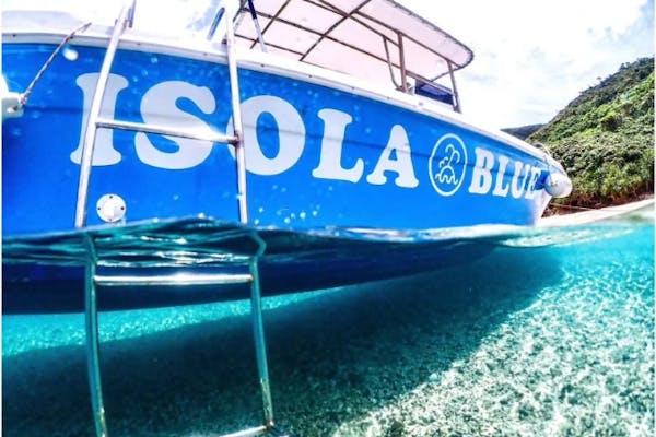 奄美大島・シュノーケリング・選べるディナー】【冬OK】船で行く