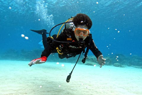 【沖縄・慶良間・ライセンス取得】ダイビングライセンスを取ろう！送迎無料／完全少人数制／追加費用無し／オープンウォーターダイバーライセンス＜SSI正規トレーニングセンター＞