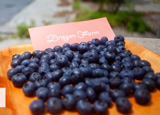 ドラゴンファーム