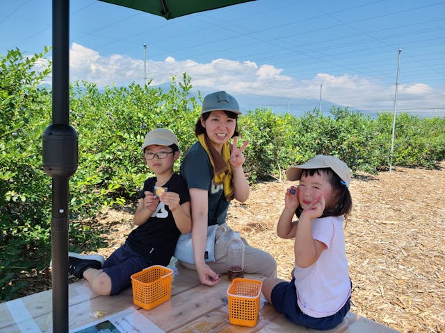 ブルーベリーlov