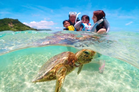 【宮古島・満喫プラン】絶景ドローンフォトツアー＆貸切ウミガメシュノーケリング｜1歳〜参加OK！写真プレゼント！