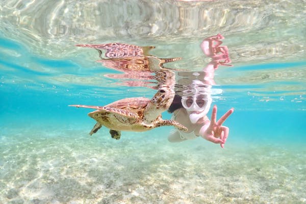 宮古島・ライフジャケット不要】SNS映えウミガメシュノーケリング