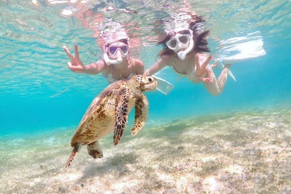 宮古島・ライフジャケット不要】SNS映えウミガメシュノーケリング