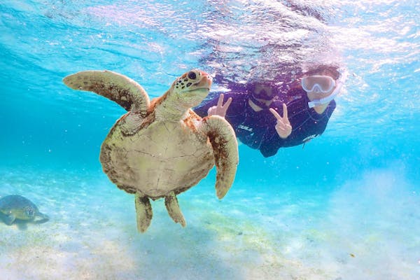 宮古島・ライフジャケット不要】SNS映えウミガメシュノーケリング