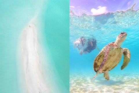 【ドローン撮影無料】ユニの浜＆ウミガメシュノーケリングツアー｜高確率で出会える感動体験！1歳〜参加OK♪宮古島満喫