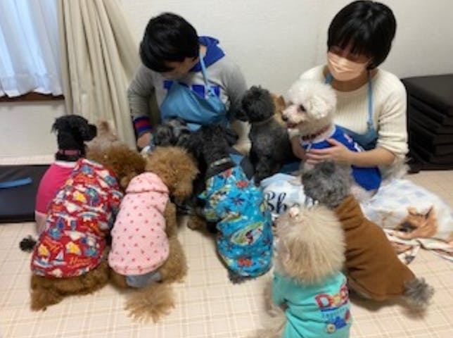 いぬのじかん（大塚店）